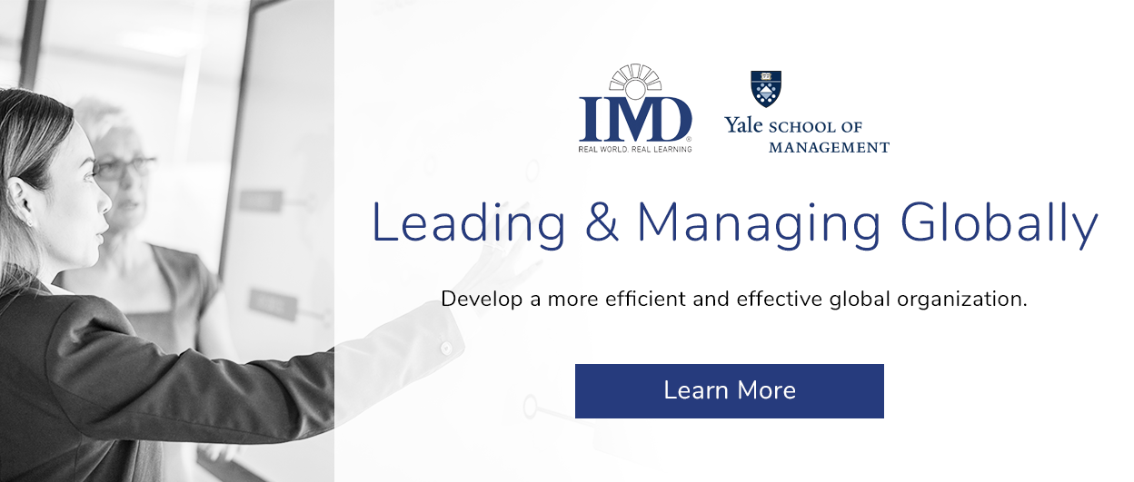 Leading and Managing Globally